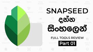 How to use snapseed Sinhala  Mobile Photo Editing Basics  Simple tips  Episode 01 [upl. by Daveda]