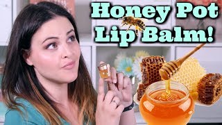 SkinFood  CUTEST Little Honey Pot Lip Balm REVIEW  What the K  KBeauty [upl. by Harold589]