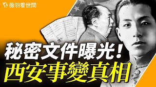 他是民族的罪人嗎？秘密文件在美國拍賣，曝光西安事變真相，張學良是共產黨員！｜薇羽看世間 第811期 [upl. by Nirtiac]