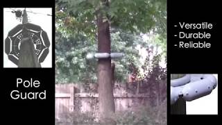 Pole Guard Protector on Tree Deterring Squirrels CustomerSubmitted Video [upl. by Caplan]