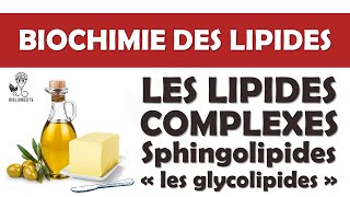 Biochimie des Lipides Complexes  les Glycolipides [upl. by Kalikow]