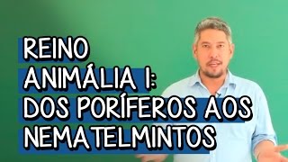 Reino Animália 1 dos Poríferos aos Nematelmintos  Extensivo Biologia  Descomplica [upl. by Dalston]