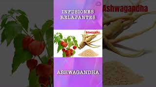 Ashwagandha Infusiones que calman la ansiedad [upl. by Adelina968]