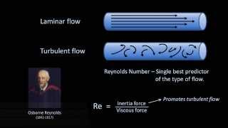 Reynolds Numbers and Turbulence Fluid Mechanics  Lesson 11 [upl. by Seed]