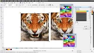 Index Color Separations in CorelDRAW [upl. by Kenaz815]