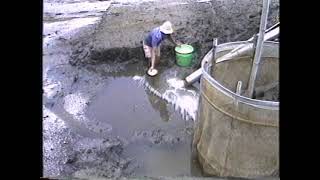 Prawn Pond Preparation [upl. by Pelpel]