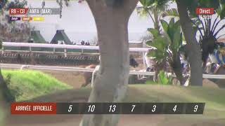 Live Hippodrome « CASABLANCA »  Courses du « 09082024 » [upl. by Earvin684]