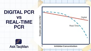 Digital PCR vs Realtime PCR  Ask TaqMan 30 [upl. by Ike894]