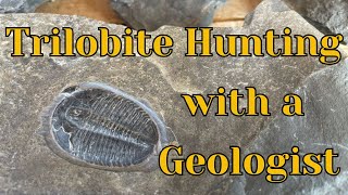 Hunting for Trilobite Fossils with a Geologist in Western Utah [upl. by Tray]