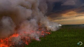 Filming a Raging Forest Fire  North America [upl. by Ellienad]