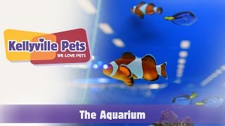 Kellyville Pets  Aquarium [upl. by Anerda]