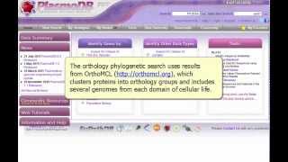 Identify Genes based on Orthology Phylogenetic Profile [upl. by Jacobo537]