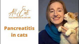 Pancreatitis in cats [upl. by Ariuqahs]