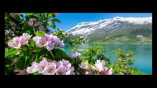 Edvard Grieg  The Last Spring [upl. by Ardaid916]