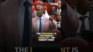 The President is the biggest tribalist  MP Robert Mbui [upl. by Kred]