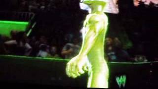 GEICO Gecko CAW svr 2010wmv [upl. by Atinot]