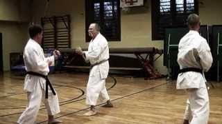 Kumite Training 1 w Sensei Gyula Büki 7th Dan Shotokan Karate [upl. by Nylirahs]