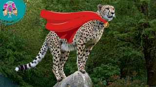 Superpowers of Animals Facts About Animals with Extraordinary Abilities [upl. by Assenyl]