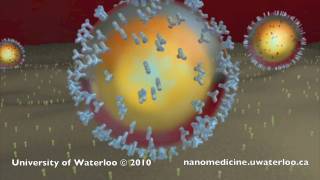 Nanotechnology for Targeted Cancer Therapy [upl. by Artemus]