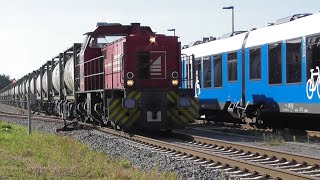 Bentheimer Eisenbahn Bahnhof Neuenhaus im Jahr 2020 [upl. by Locke]