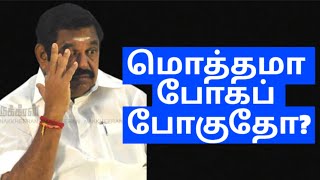 மொத்தமா போகப் போகுதோ admk edappadipalanisamy [upl. by Ianaj]