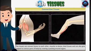 🔴 Explanation Of 🎫 Connective tissue Explain With 🔥Animation😮 [upl. by Lura]