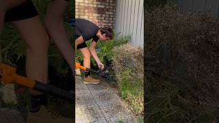 WORX Jawsawback in action2 year review yardwork landscape landscaping worx chainsaw [upl. by Ahsehat]