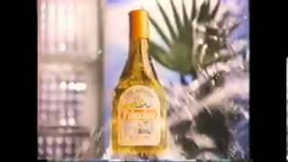 Palmolive Commercial 1980s [upl. by Spain]