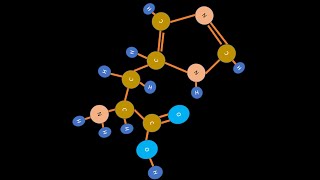 ¿Qué es la Histidina  El ABC de la Biología [upl. by Aronle898]