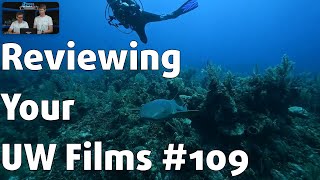 Reviewing YOUR UNDERWATER FILMS 109 ⎮ Ben Palmer [upl. by Attenyw807]