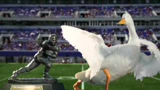 AFLAC COMMERCIAL QUATERBACK [upl. by Efinnej812]