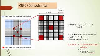 Hemocytometer spotting and viva [upl. by Severson]