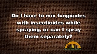 QampA  Do I have to mix fungicides and insecticides when spraying [upl. by Leid]