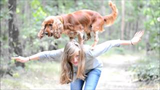 Amazing cocker spaniel Scooby  tricks amp agility [upl. by Retsbew]