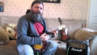 Review of two electric mandolins  Fender mandocaster amp Mandobird [upl. by Drewett]