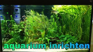 Beplant AQUARIUM INRICHTEN mijn tipsNickey [upl. by Shere453]