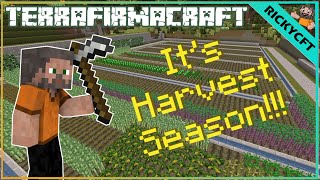 Its Harvest Season  Terrafirmacraft [upl. by Ahser]