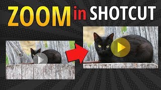 Shotcut Zoom In Effect Tutorial [upl. by Vidda]