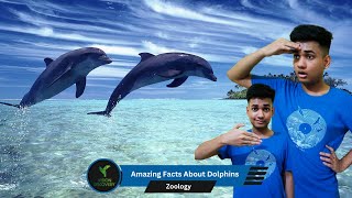 Zoology Amazing Facts About Dolphins l Indian Sign Language  Vision Discovery [upl. by Brendis106]