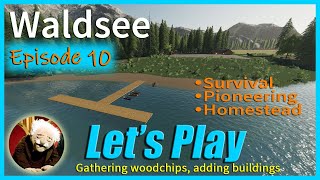 Waldsee  Lets Play  Episode 10  Farming Simulator 19 [upl. by Bonar]