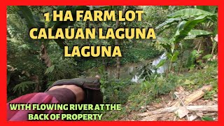 9500 sqm Rambutan Farm in Calauan Laguna for Sale Lot Code 2412 [upl. by Quenby]