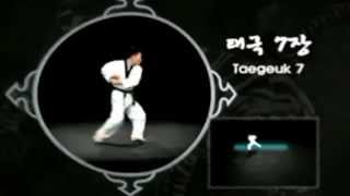 KUKKIWON Taegeuk Poomsae 7 Chil Jang [upl. by Ninahs483]