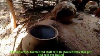 Mahua Alcoholic Beverage Preparation live from Brewery  A Short Documentary [upl. by Tullus74]