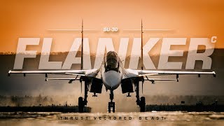 Sukhoi Su30  Thrust Vectored Beast [upl. by Nolyag]