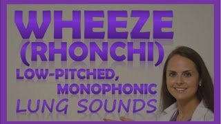 Wheezes Lung Sounds Monophonic Rhonchi Breath Sounds Abnormal Sonorous Wheeze [upl. by Adnilg]