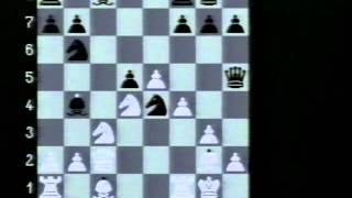 Schach der Grossmeister 1998 [upl. by Miehar]