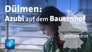 Dülmen Ausbildung auf dem Bauernhof  tagesthemen mittendrin [upl. by Suki]