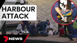 Heroes save a swimmer mauled in a shark shock in Sydney Harbour  7 News Australia [upl. by Helsell]