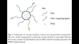 PEGPLGA and PLGANHS from PolySciTech used in development of cancer targeting nanoparticles [upl. by Yrrag]