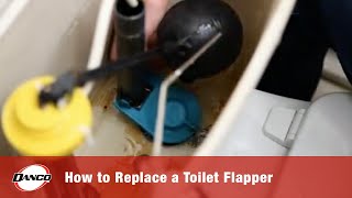 How to Replace a Toilet Flapper [upl. by Valera877]